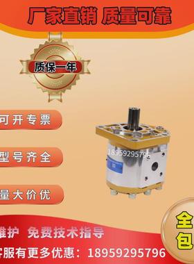 议价CBN-F540/F50/F63/563/F550-BFP/BFPL/BFH/BFHL合肥齿轮泵