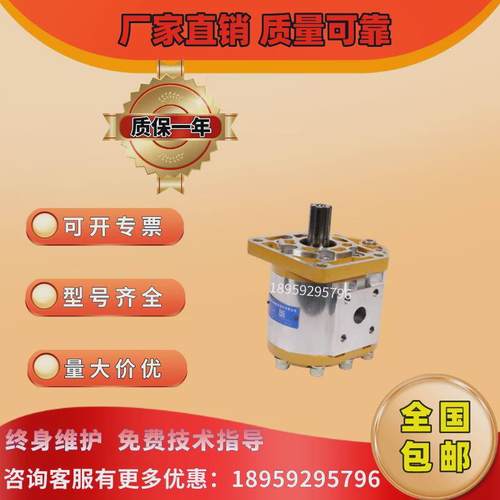 议价CBN-F540/F50/F63/563/F550-BFP/BFPL/BFH/BFHL合肥齿轮泵