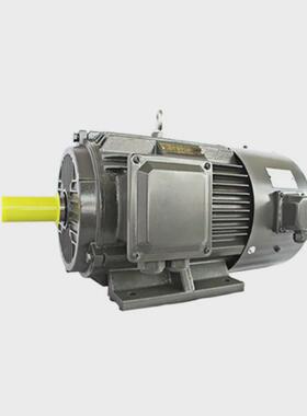 衡水电机厂家大量销售yvf2-2极3kw-90kw变频三相异步电机