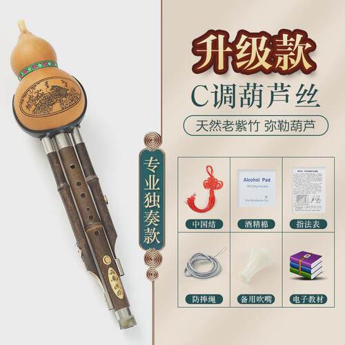 楠竹葫芦丝紫竹专业降b调初学者儿童c调演奏型成人小学生专用乐器