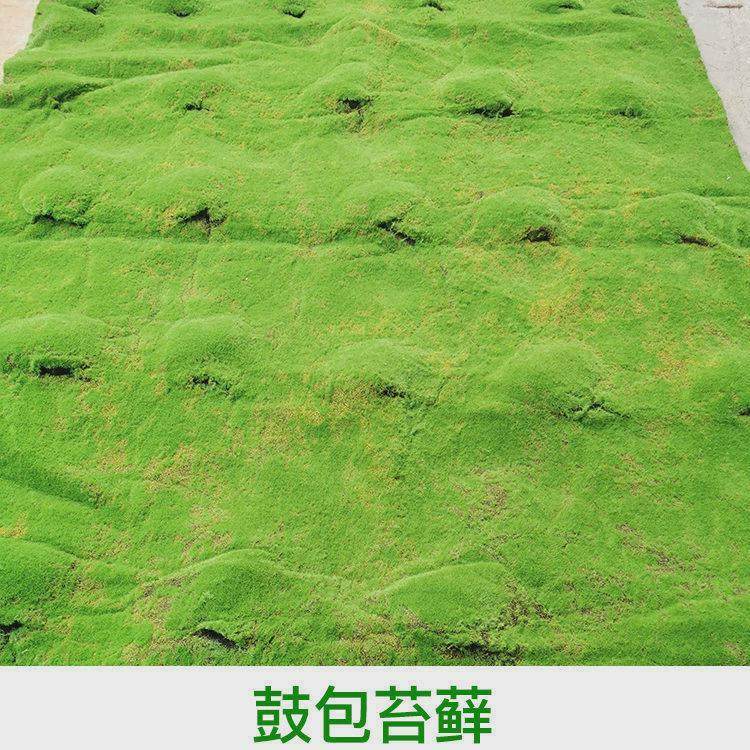 仿真苔藓草皮绿色青苔草皮景观造景假草坪草地背景植物墙装饰绿植,家居饰品,仿真花/假花,淘宝优惠券,粉丝福利购,淘宝优惠卷