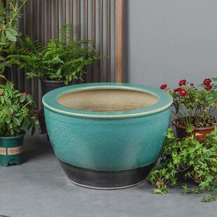 古法养鱼盆金鱼缸水缸客厅复古缸水养植物老式 阳台睡莲碗莲乌龟缸