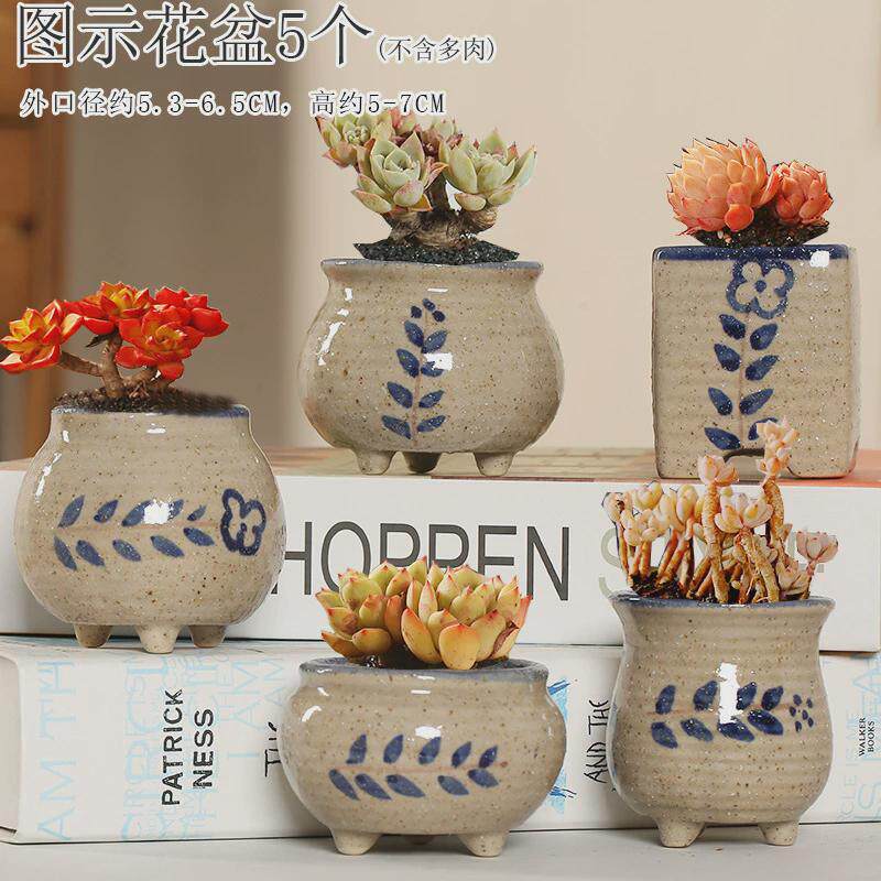 多肉植物花盆陶瓷拇指盆小个性控型复古老庄手绘