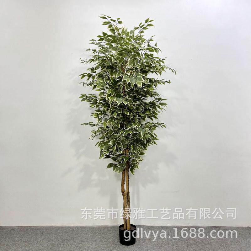人造真树杆小榕树仿真白边榕树绿植盆栽假过胶迷你榕客厅造景装饰