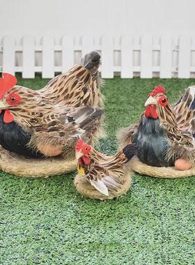 仿真羽毛鸡模型玩具公鸡母鸡孵蛋鸡摆件小鸡仔拍摄道具家居饰品