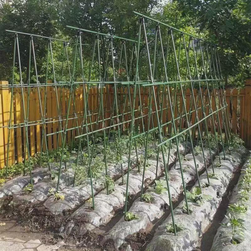 花架爬藤支架葡萄黄瓜庭院丝瓜西红柿月季蔬菜植物支撑杆包塑钢管