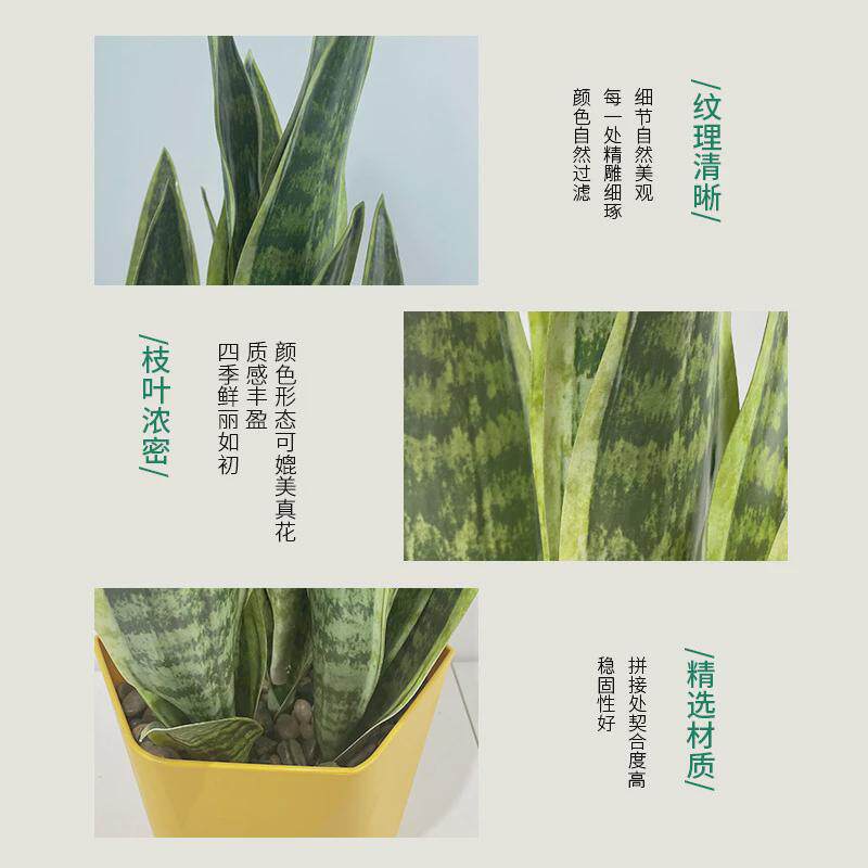 北欧仿真绿植金边虎皮兰盆栽室内绿植造景花卉道具假客厅落地装饰