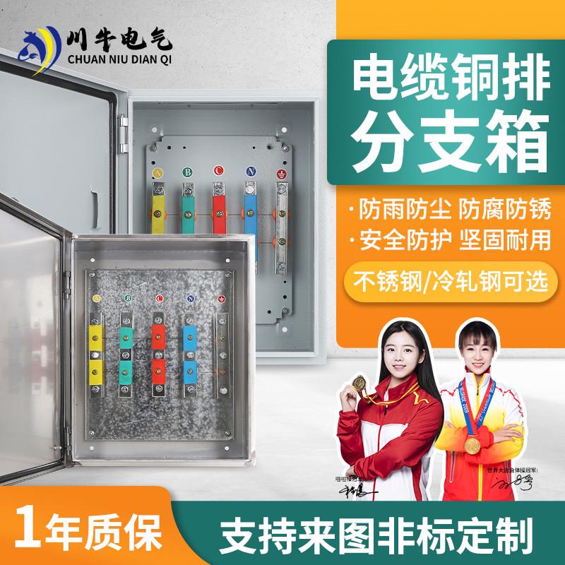 电缆分支箱t接电箱电缆分流箱转接箱转换铜排箱绝缘箱转换配电箱
