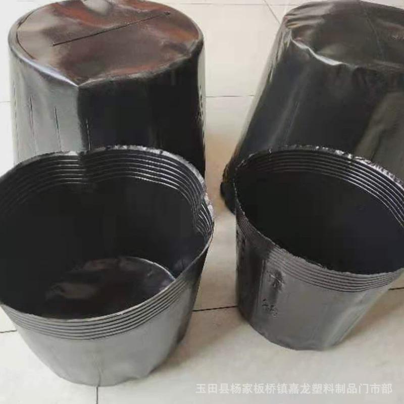 厂家批发无孔荷花杯荷花盆营养钵简易无孔营养杯多种规格图片