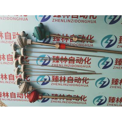 WREK2-232s型铠装热电偶WRNK-482铠装感温元件