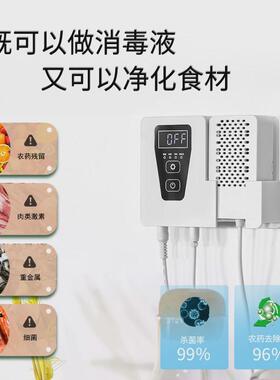 果蔬净化器水果蔬菜肉类清洗机洗菜机次氯酸生成发生器灭菌消毒器