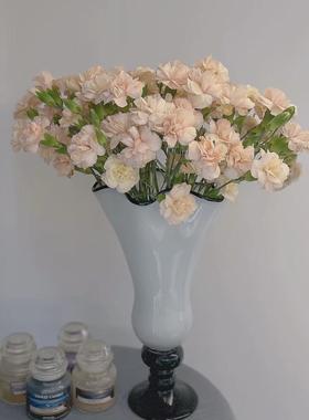 赫本风黑白系中古白菜口风灯手工玻璃花瓶水培插花器家居装饰摆件