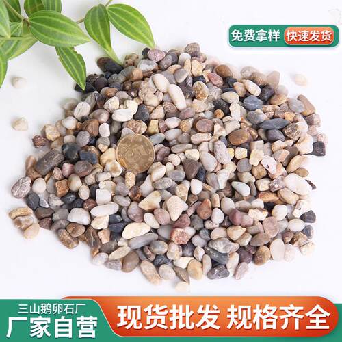 地暖豆石厂家批发过滤小石子处理滤料鹅卵石家装汗蒸回填杂色水