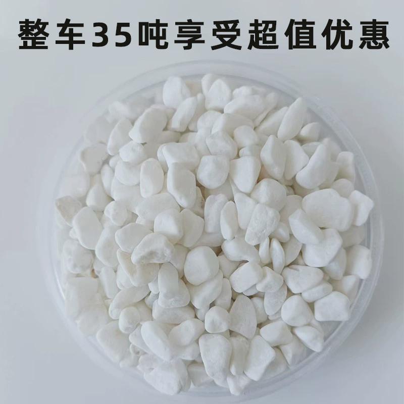 白色水磨石子日式枯山水白石子白色砾碎石园林造景白水洗石鹅卵