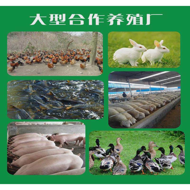 卡巴匹林钙5749-67-7高含量原料99%质量桶25kg/保障量大优惠包邮