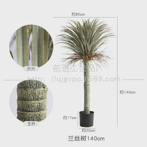 沙生植物仿真芦荟龙舌兰造景装饰摆件假树荷兰铁马尾铁店铺软装