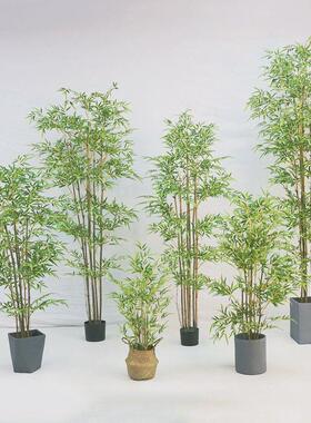 仿真植物盆栽绿植盆栽客厅室内装饰绿植假散尾葵摆件绿植假树盆景