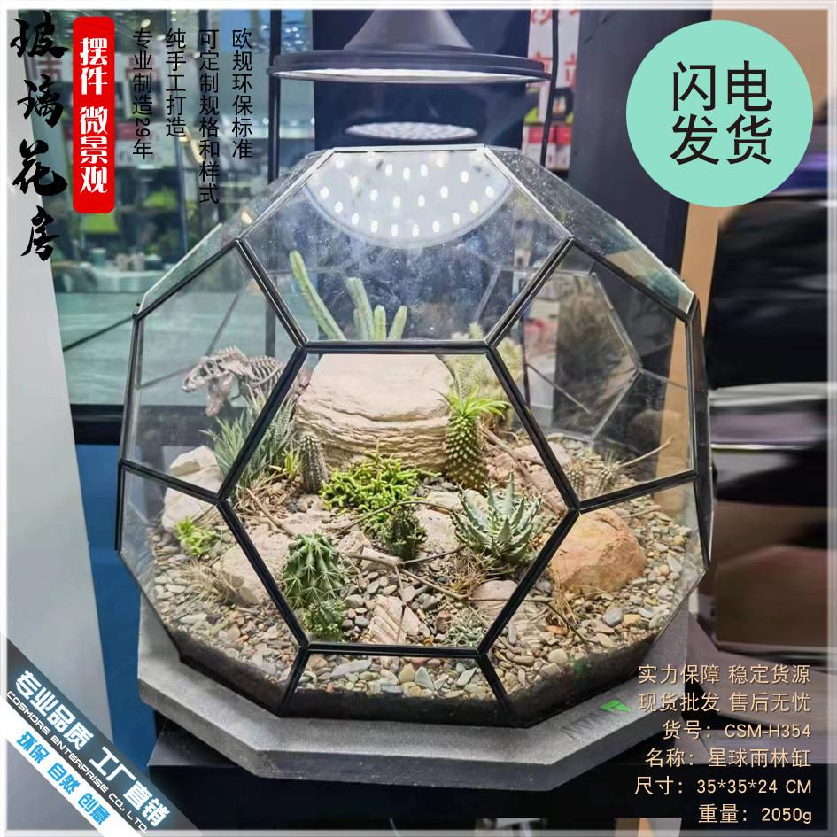 微景观雨林玻璃罩几何花房装饰摆件办公室造景生态瓶星球形花器皿