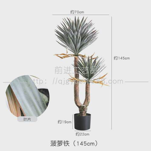 沙生植物仿真铁龙舌兰造景装饰摆件假树荷兰铁马尾芦荟店铺软装