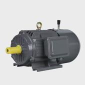 现货纯铜 55kw电磁制动刹车电机三相异步电机yej线 180l 6极15