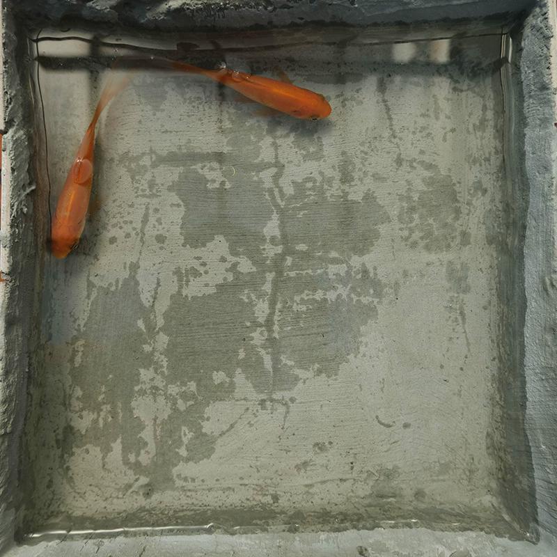 js聚合物卫生间防水涂料k11楼顶屋顶外墙鱼池防水胶补漏材料防漏