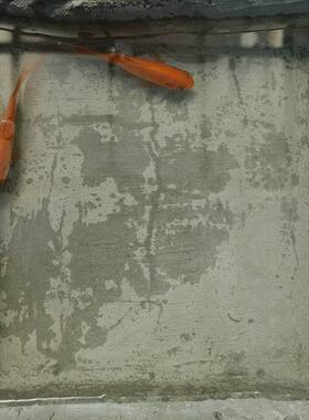 js聚合物卫生间防水涂料k11楼顶屋顶外墙防水胶防漏补漏材料鱼池