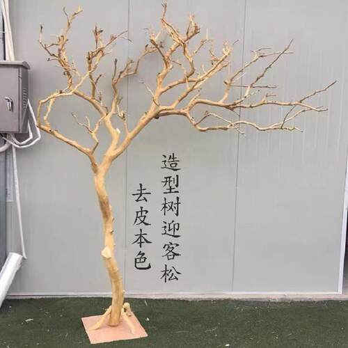 干树枝造景干燥树枝树干许愿树枯树室内庭院造型树枝装饰树