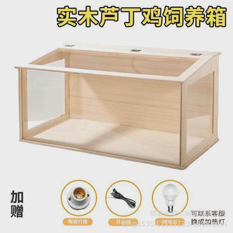 全套芦丁鸡箱爬宠物专用箱鸡窝卢丁鸡恒温养饲养箱仓鼠别墅造景箱