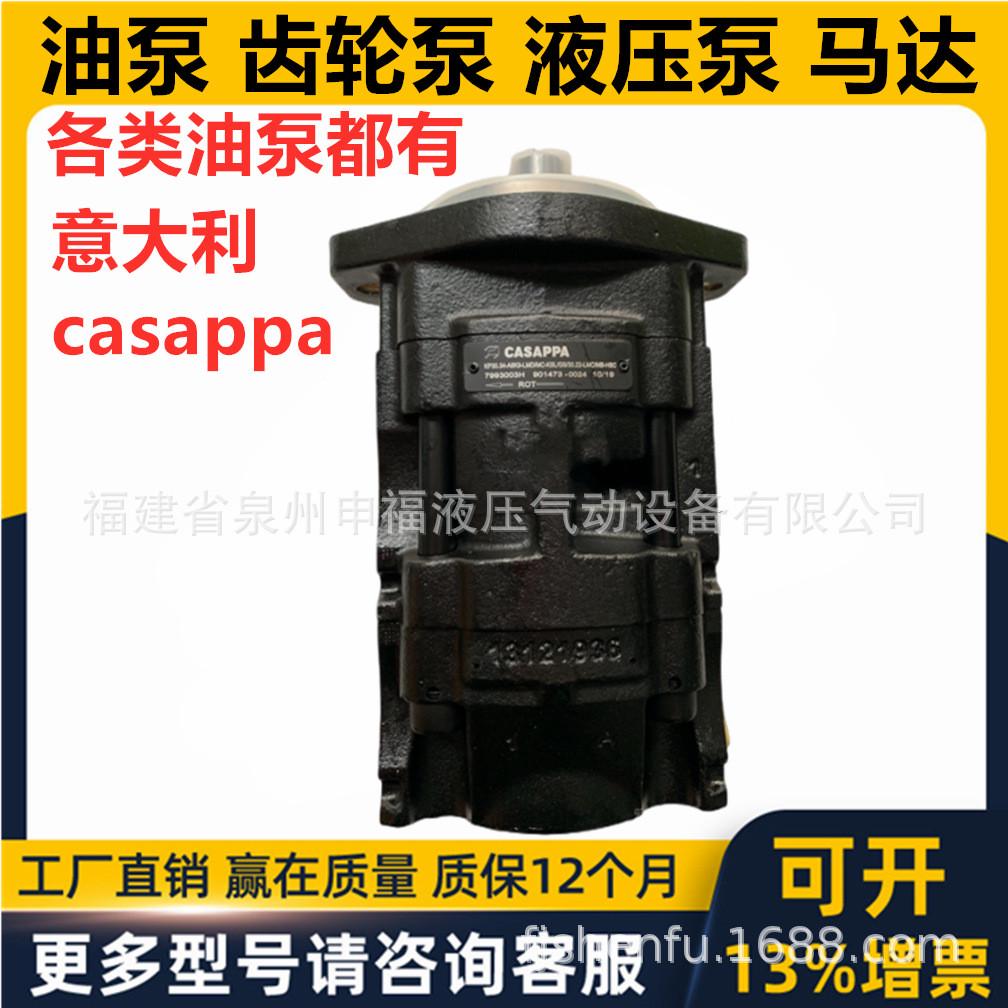 热销意大利casappa马达油泵kp10kp20kp30kp40km液压齿轮双联三联
