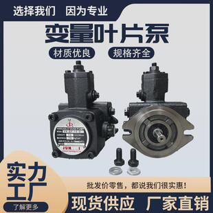 俊泰油泵juntai变量液压叶片泵vpsf15vpsf20vpsf30/40液压