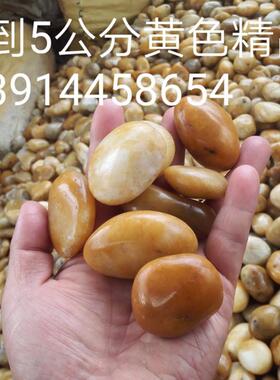 黄色鱼缸鹅卵石园林铺路造景黄色亮光雨花石抛光水池垫底石