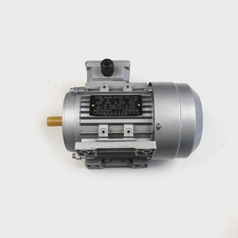 厂家批发180w-4kw三相电机立极铝壳电动机2极4卧式6极