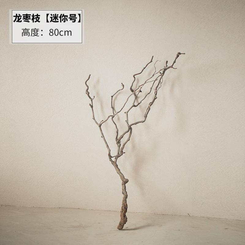 龙宠物枝天然弯曲树枝中式花艺枣爬藤造景插花装饰干树枝客厅落地