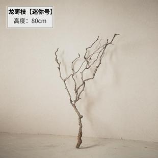 装饰枣枝天然弯曲树枝中式花艺宠物爬藤造景插花龙干树枝客厅落地