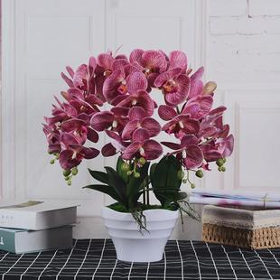 蝴蝶兰仿真花套装假花摆件客厅大盆兰花盆栽装饰摆设插花花艺