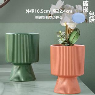 网红爆款专用花盆蝴蝶兰陶瓷兰花花盆白色简约多肉花盆