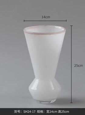 博西家居玻璃花瓶摆件客厅插花复古创意水培器皿精致大口径花器