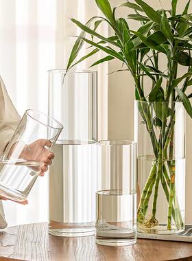 玻璃创意花瓶轻奢透明高级感家用水培花瓶ins风摆件富贵竹客厅