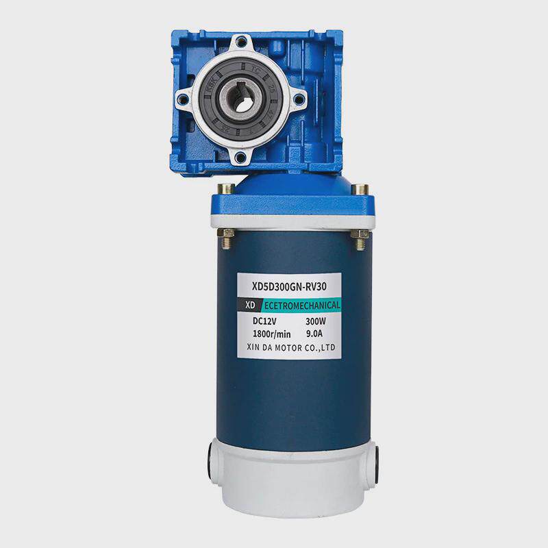 300W蜗杆减速电机12V24v可调速大力矩正反转RV30大功率电动机马达