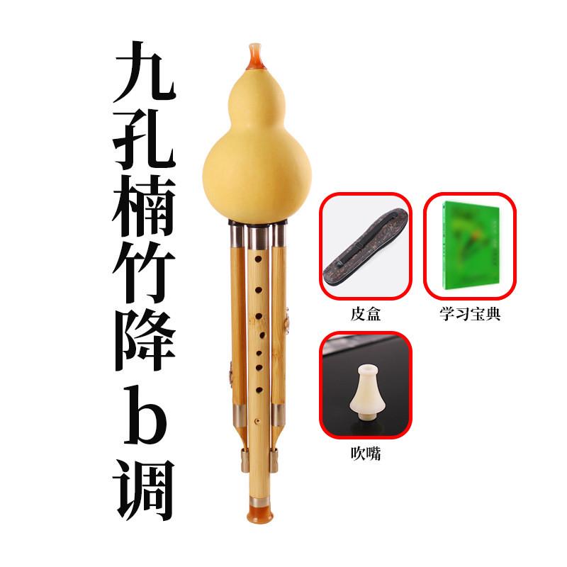 九孔金丝楠竹葫芦丝c调b调音准学生葫芦丝演奏型成人三音楠竹专业