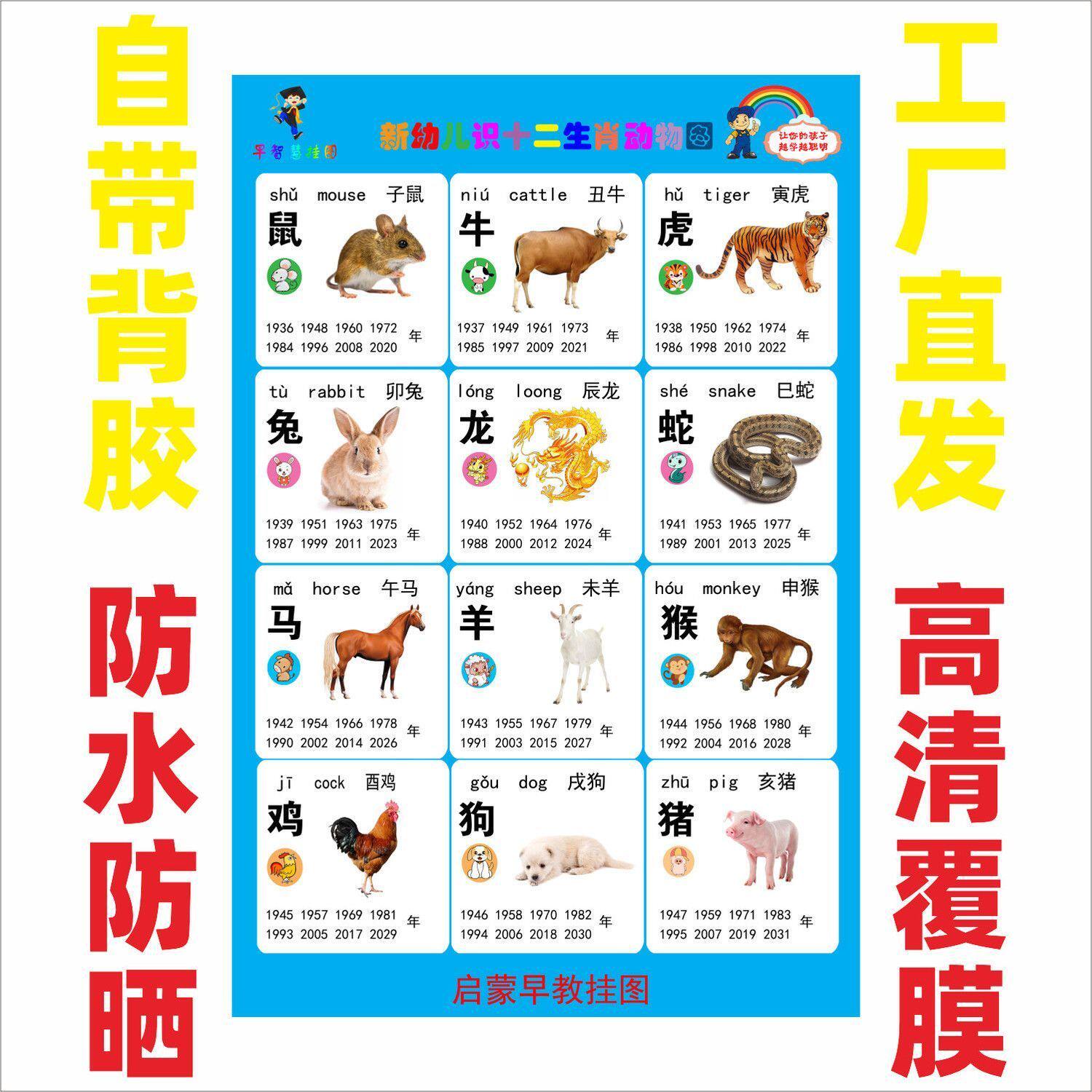 十二生肖动物图海报儿童