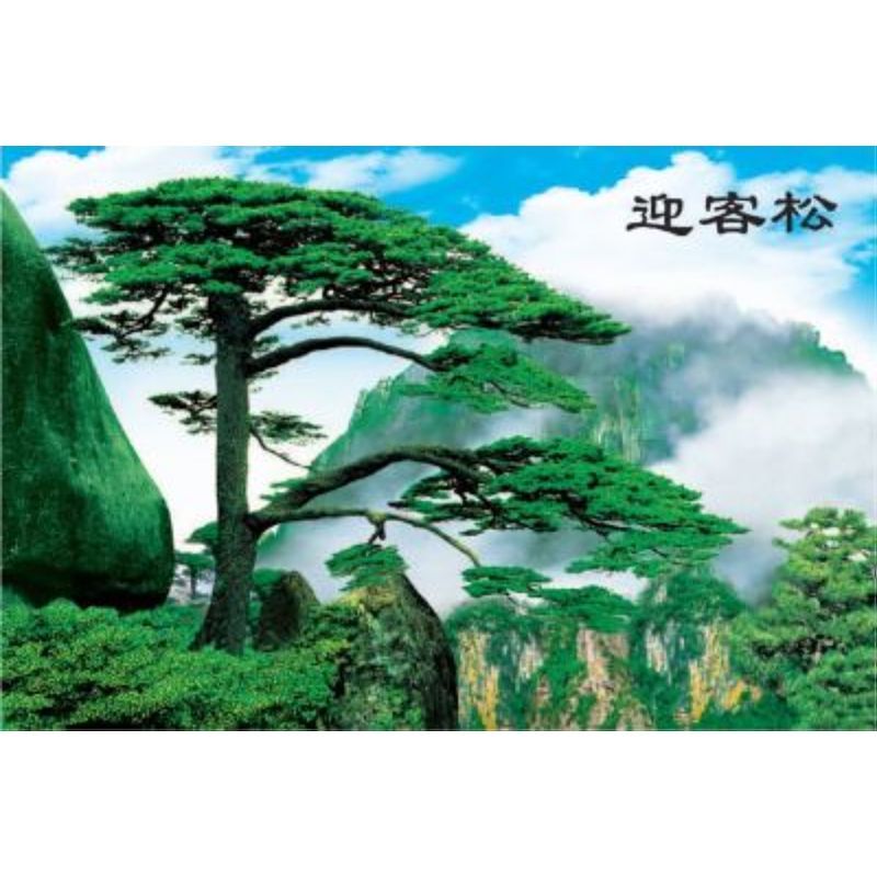 迎客松山水画客厅电视背