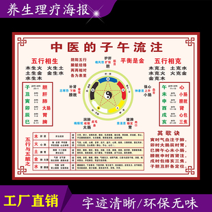 中医养生馆装饰画五行挂图子午流注对照表特大中医文化宣传背胶