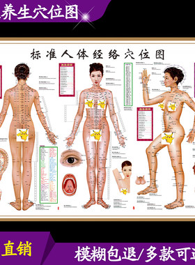 人体经络穴位图养生馆装饰画经络养生挂图养生海报刮痧艾灸拔罐画