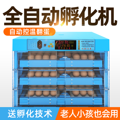 定制英文孵化机全自动智能小鸡苗鸭鹅孵化器小型家用孵化箱孵蛋器