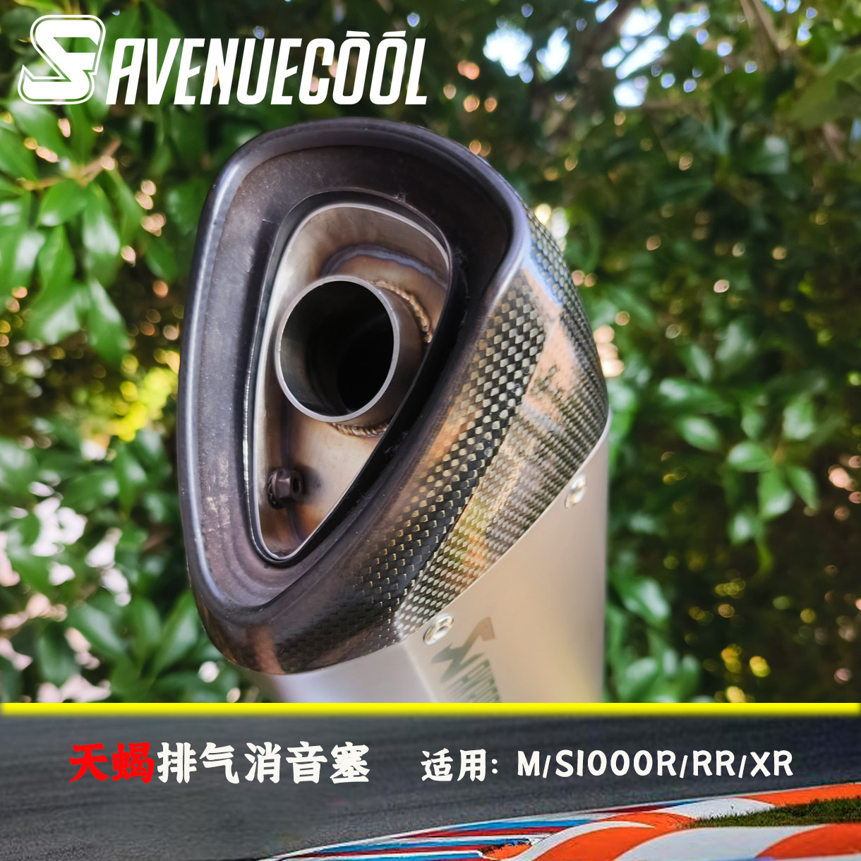 宝马S1000RR/XR/R天蝎排气消音塞