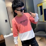 秋季社会精神小伙圆领ins卫衣潮流男A343-WY48粉1，男装卫衣，电商A343