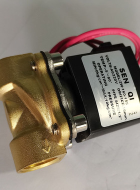 MODEL 2W160-15S250 320 400电磁阀水阀流体控制阀换向阀SENQI