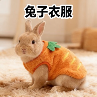宠物兔子专用衣服侏儒兔外出保暖冬装背心小型兔拍照可爱装扮用品