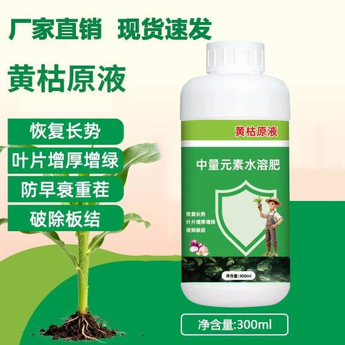 黄枯原液蔬菜瓜果专用番茄黄瓜果树瓜果绿叶壮苗z